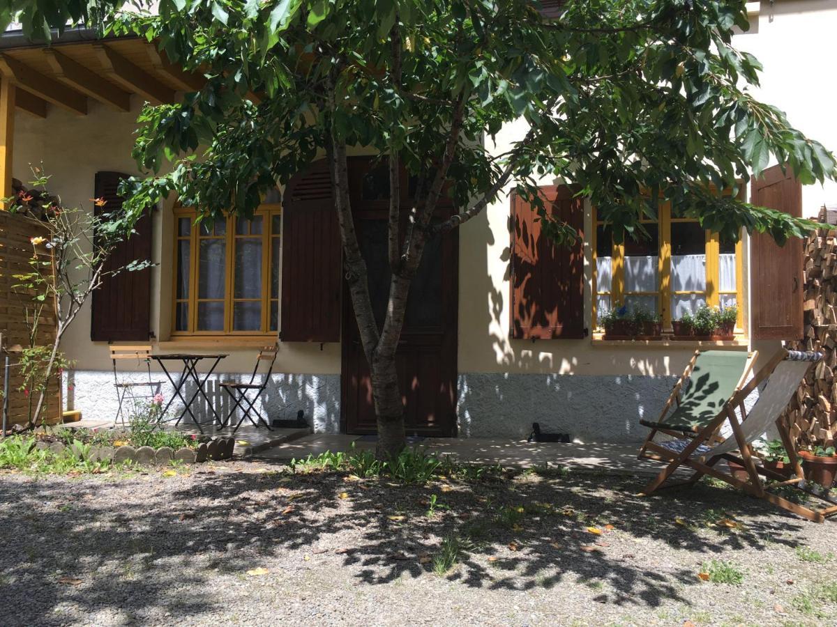 Charmant Appartement Sur Cour, Le Cerisier 巴涅尔德比戈尔 外观 照片