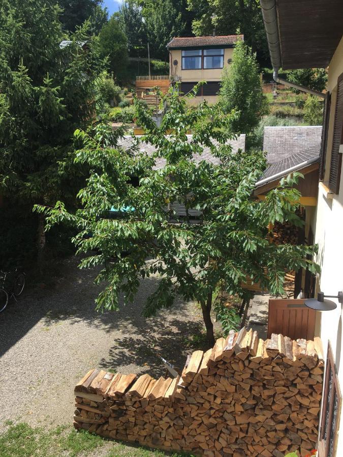 Charmant Appartement Sur Cour, Le Cerisier 巴涅尔德比戈尔 外观 照片
