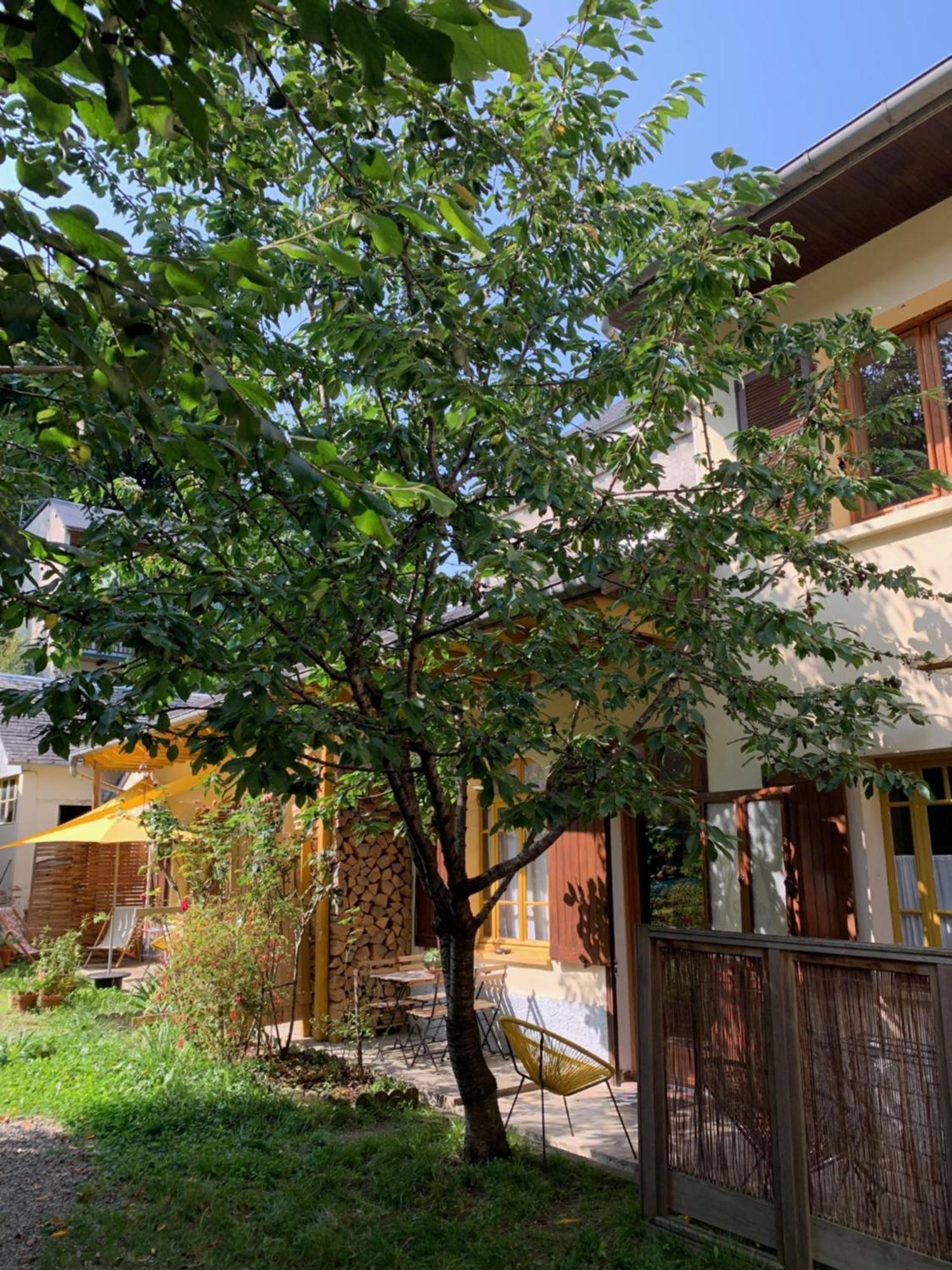 Charmant Appartement Sur Cour, Le Cerisier 巴涅尔德比戈尔 外观 照片
