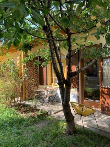 Charmant Appartement Sur Cour, Le Cerisier 巴涅尔德比戈尔 外观 照片