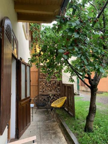 Charmant Appartement Sur Cour, Le Cerisier 巴涅尔德比戈尔 外观 照片