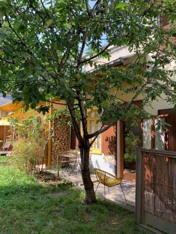 Charmant Appartement Sur Cour, Le Cerisier 巴涅尔德比戈尔 外观 照片