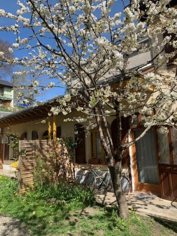 Charmant Appartement Sur Cour, Le Cerisier 巴涅尔德比戈尔 外观 照片